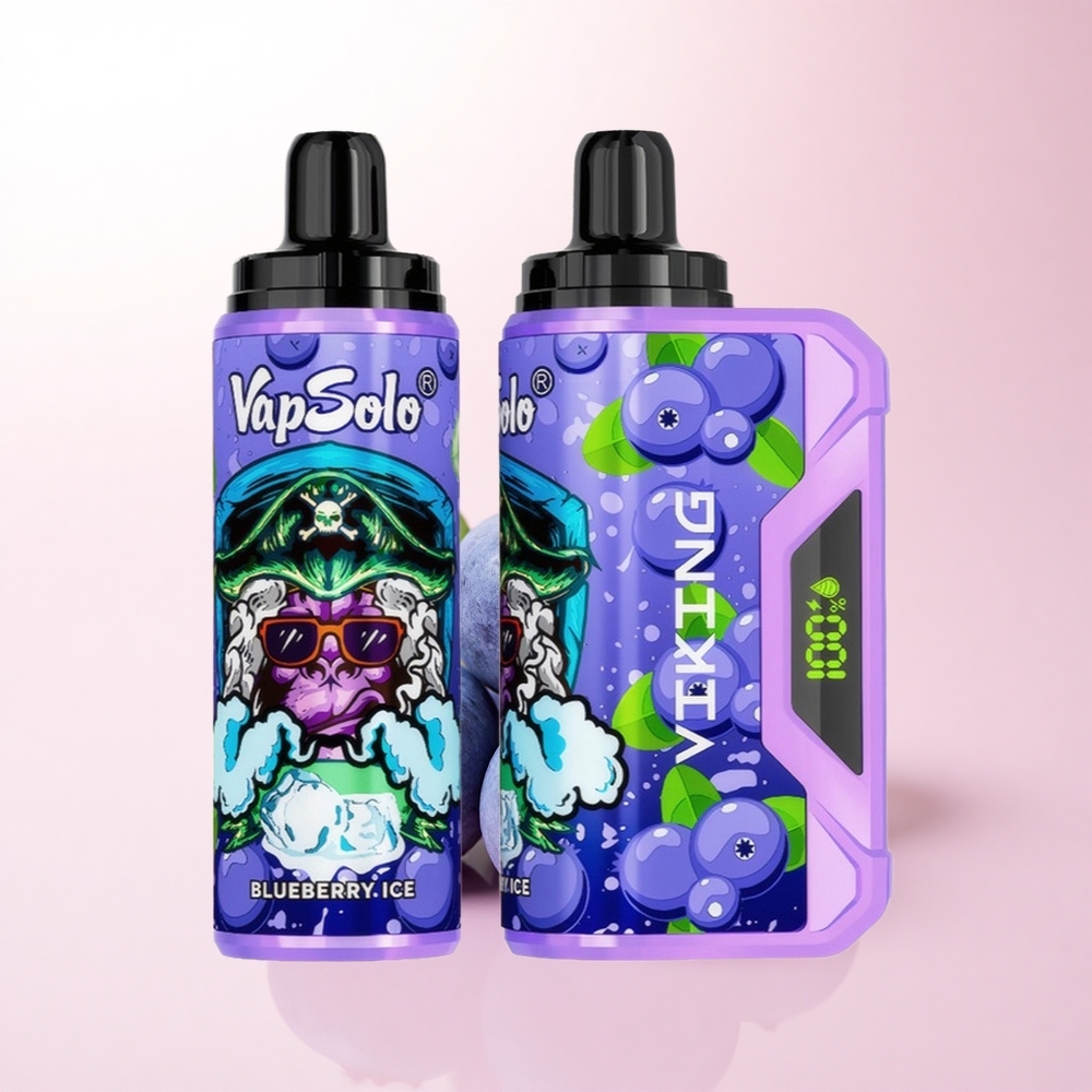 VapSolo VIKING 12000 Puffs Blueberry Type-C 22ml Nicotine 20mg/ml