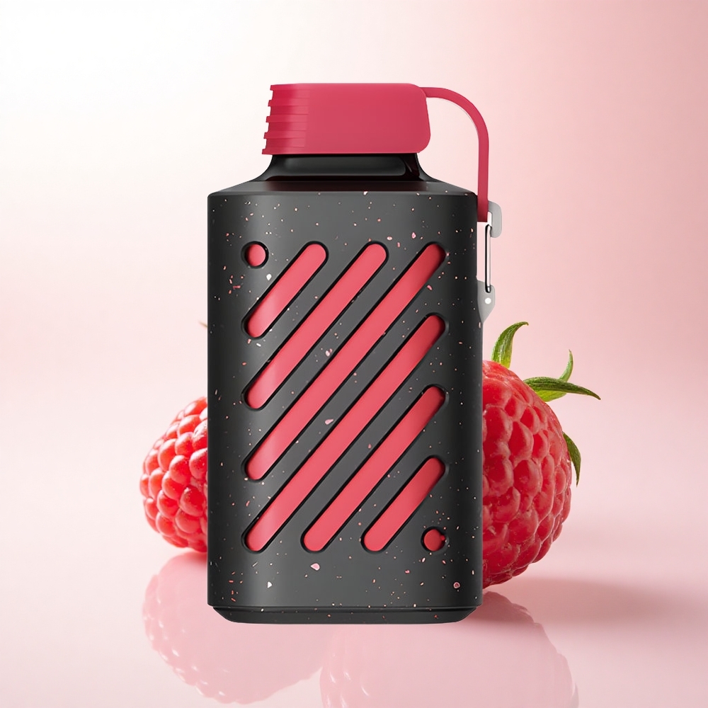 VOZOL GEAR 10000 Puffs Strawberry Raspberry 500mAh 20ml