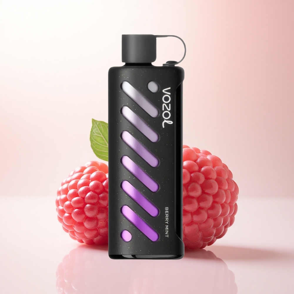 VOZOL Gear Shisha 25000 Puffs Berry Mint Dual Mesh 1000mAh