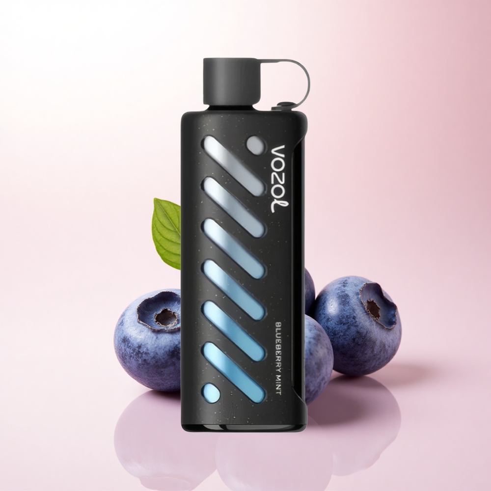 VOZOL Gear Shisha 25000 Puffs Blueberry Mint Dual Mesh 1000mAh