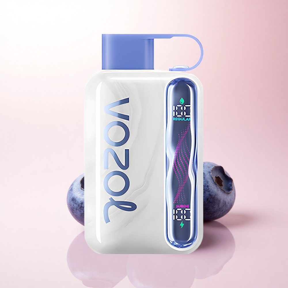 VOZOL STAR 40000 Puffs Blueberry Mint 1000mAh 50mg Nicotine